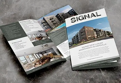 Collateral Design Photo