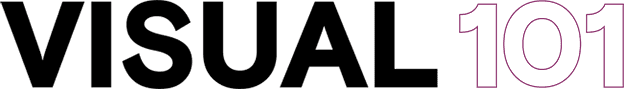 Visual 101 Logo